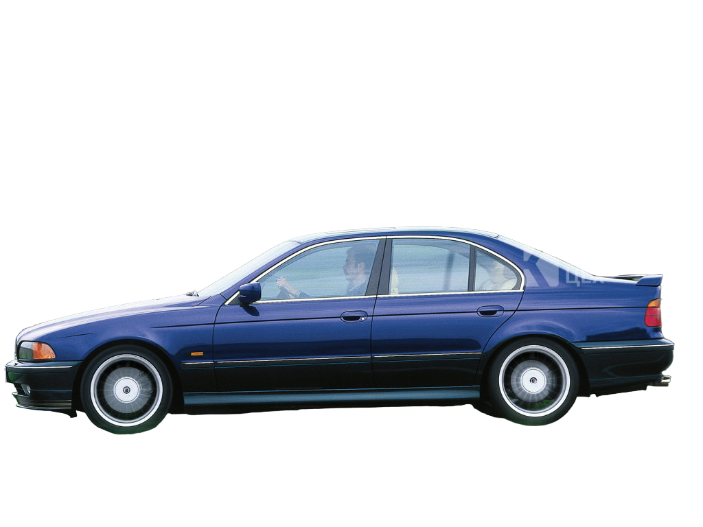 Альпина Д10 1